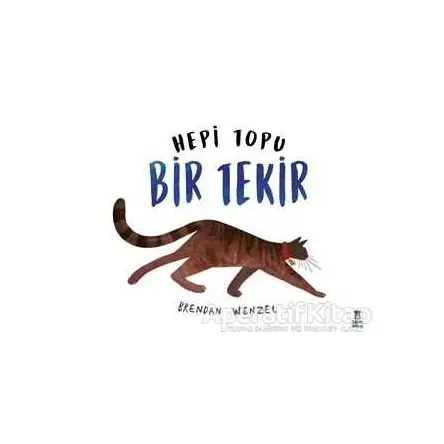 Hepi Topu Bir Tekir - Brendan Wenzel - Taze Kitap