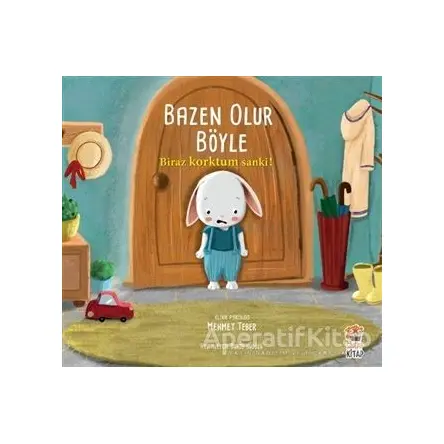 Biraz Korktum Sanki! - Bazen Olur Böyle - Mehmet Teber - Sincap Kitap