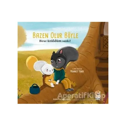 Biraz Üzüldüm Sanki! - Bazen Olur Böyle - Mehmet Teber - Sincap Kitap