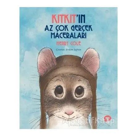 Kıtkıtın Az Çok Gerçek Maceraları - Henry Cole - Turkuvaz Kitap