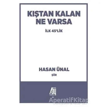 Kıştan Kalan Ne Varsa - Hasan Ünal - Baygenç Yayıncılık