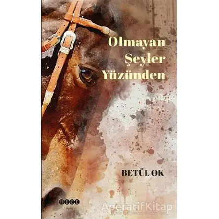 Olmayan Şeyler Yüzünden - Betül Ok - Hece Yayınları