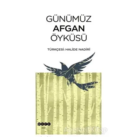 Günümüz Afgan Öyküsü - Kolektif - Hece Yayınları