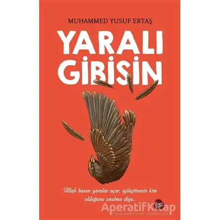 Yaralı Gibisin - Muhammed Yusuf Ertaş - Sinada Kitap