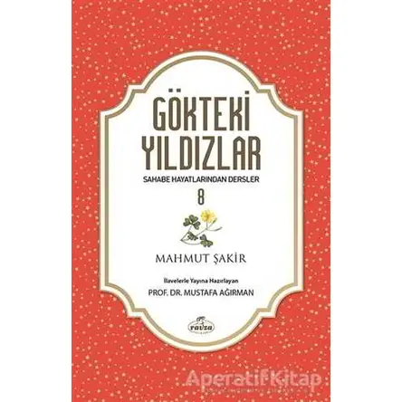 Gökteki Yıldızlar 8 - Mustafa Ağırman - Ravza Yayınları