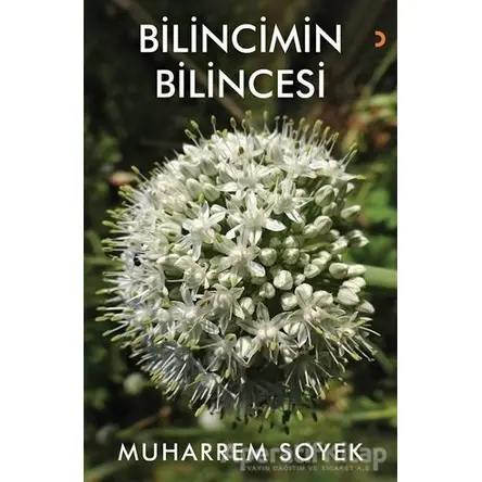 Bilincimin Bilincesi - Muharrem Soyek - Cinius Yayınları