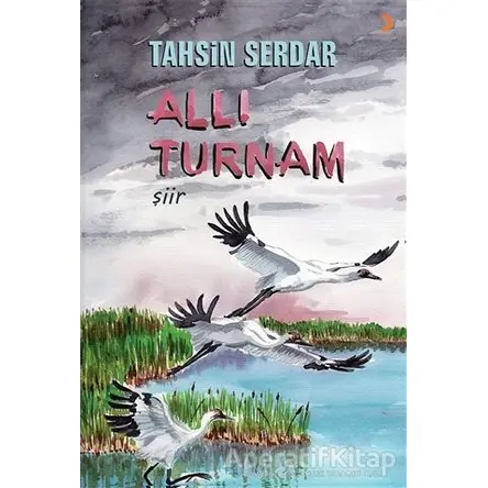 Allı Turnam - Tahsin Serdar - Cinius Yayınları