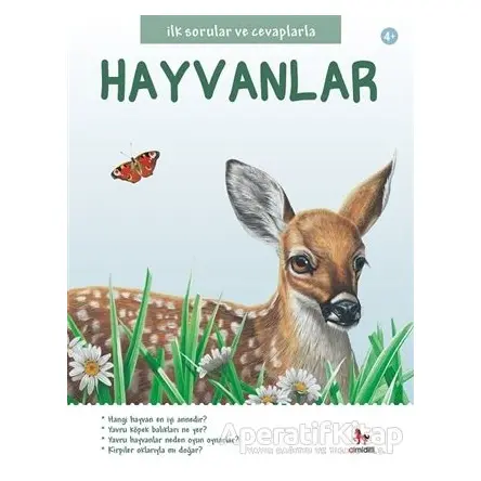İlk Sorular ve Cevaplarla Hayvanlar - Jinny Johnson - Almidilli