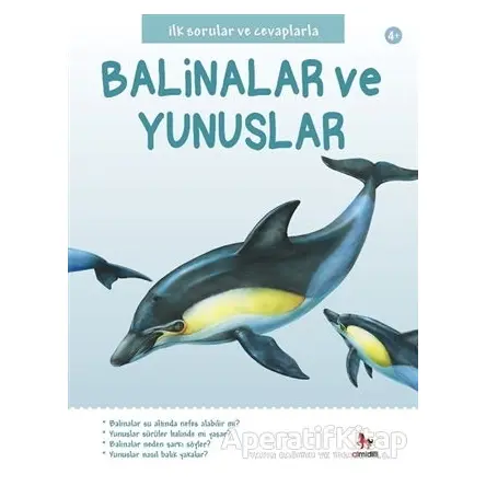 İlk Sorular ve Cevaplarla: Balinalar ve Yunuslar - Belinda Gallagher - Almidilli