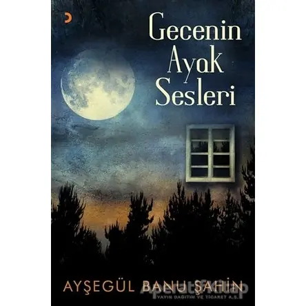 Gecenin Ayak Sesleri - Ayşegül Banu Şahin - Cinius Yayınları
