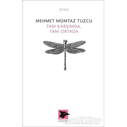 Tam Karşımda, Tam Ortada - Mehmet Mümtaz Tuzcu - Alakarga Sanat Yayınları