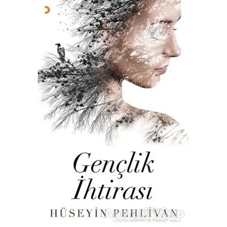 Gençlik İhtirası - Hüseyin Pehlivan - Cinius Yayınları