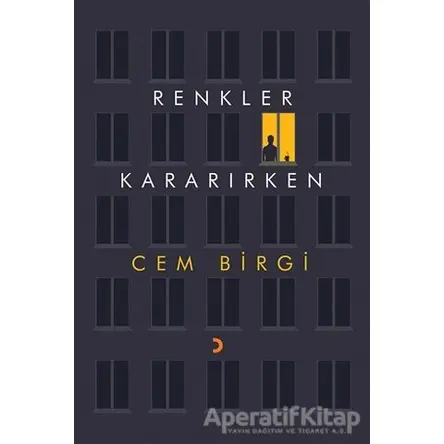 Renkler Kararırken - Cem Birgi - Cinius Yayınları