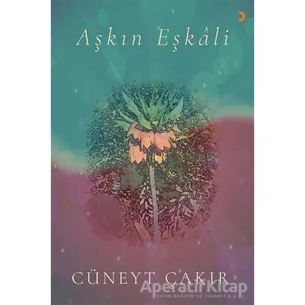 Aşkın Eşkali - Cüneyt Çakır - Cinius Yayınları