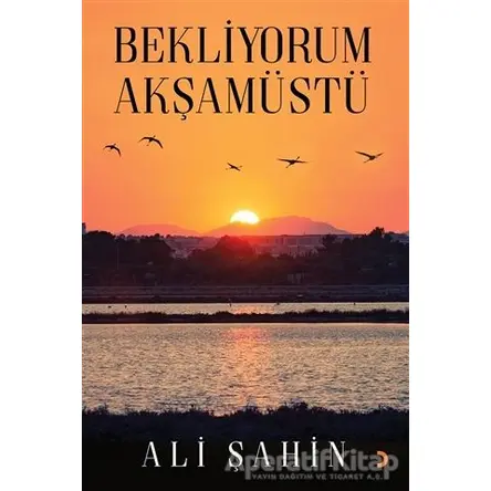 Bekliyorum Akşamüstü - Ali Şahin - Cinius Yayınları