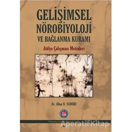 Gelişimsel Nörobiyoloji ve Bağlanma Kuramı - Allan N. Schore - Psikoterapi Enstitüsü
