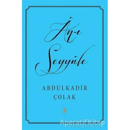An-ı Seyyale - Abdulkadir Çolak - Cinius Yayınları