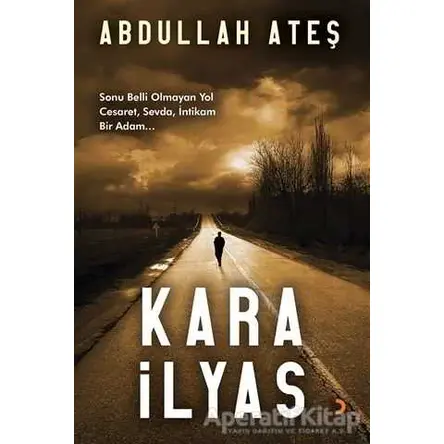 Kara İlyas - H. Abdullah Ateş - Cinius Yayınları