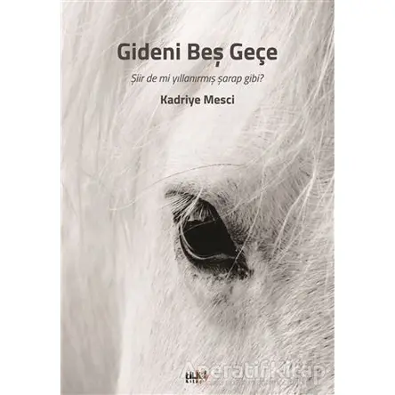 Gideni Beş Geçe - Kadriye Mesci - Tilki Kitap