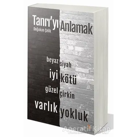 Tanrı’yı Anlamak - Doğukan Çelik - Cinius Yayınları
