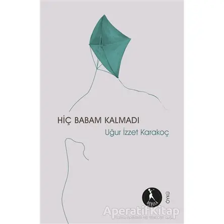 Hiç Babam Kalmadı - Uğur İzzet Karakoç - Nebula Kitap