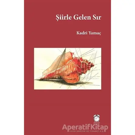 Şiirle Gelen Sır - Kadri Yamaç - KitapSaati Yayınları