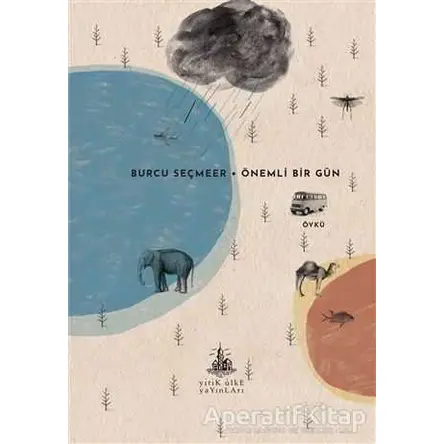 Önemli Bir Gün - Burcu Seçmeer - Yitik Ülke Yayınları