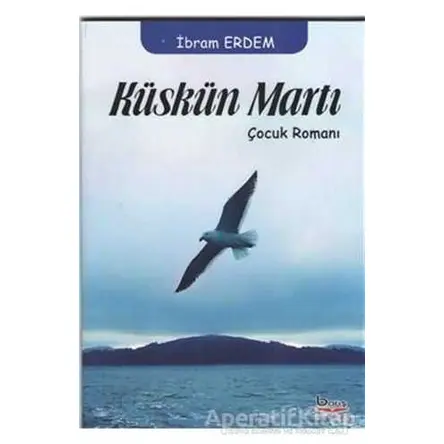Küskün Martı - İbram Erdem - Barış Kitap