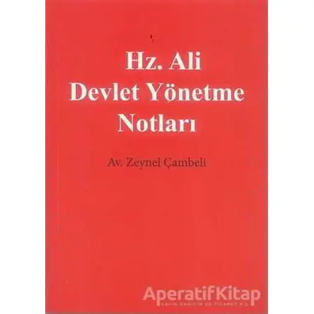 Hz. Ali Devlet Yönetme Notları - Zeynel Çambeli - Cinius Yayınları