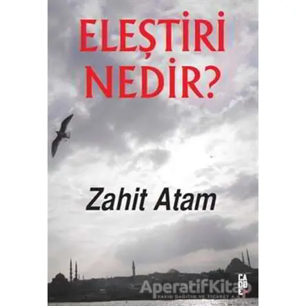 Eleştiri Nedir? - Zahit Atam - Cadde Yayınları
