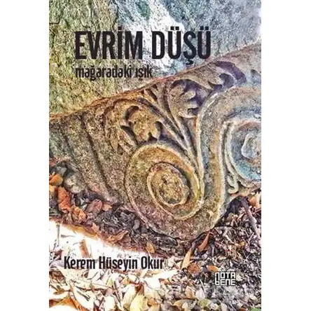 Evrim Düşü - Kerem Hüseyin Okur - Nota Bene Yayınları