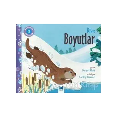 Mevsimlerle Matematik 3: Kış ve Boyutlar - Lizann Flatt - Mavi Kelebek Yayınları