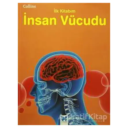 Collins İlk Kitabım İnsan Vücudu - Jen Green - Mavi Kelebek Yayınları