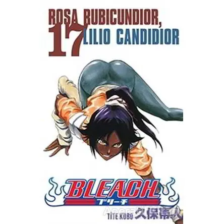 Bleach 17. Cilt - Tite Kubo - Gerekli Şeyler Yayıncılık