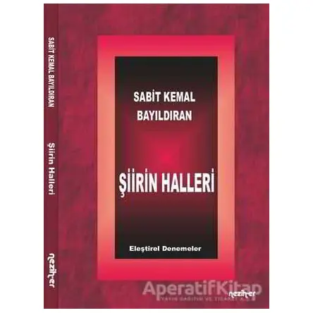 Şiirin Halleri - Sabit Kemal Bayıldıran - Neziher Yayınları