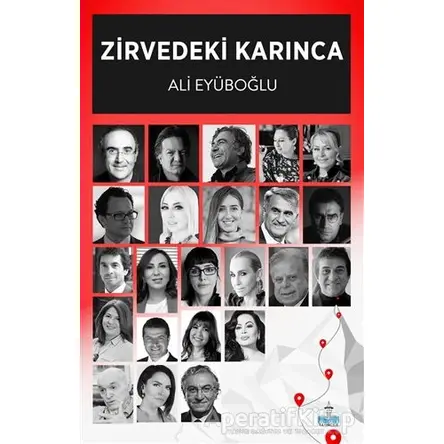 Zirvedeki Karınca - Ali Eyüboğlu - Büyükada Yayıncılık