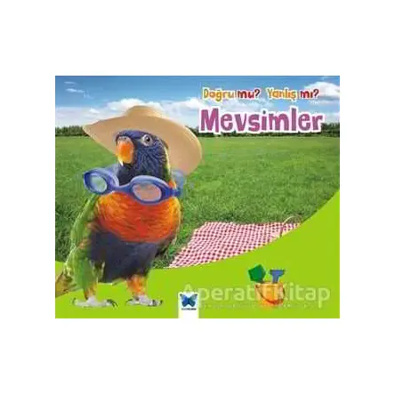 Doğru mu? Yanlış mı?: Mevsimler - Daniel Nunn - Mavi Kelebek Yayınları