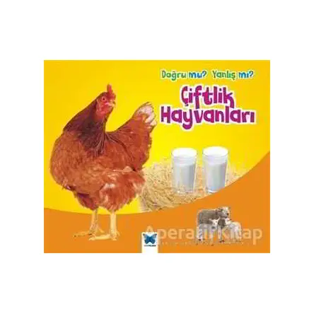 Doğru mu? Yanlış mı?: Çiftlik Hayvanları - Daniel Nunn - Mavi Kelebek Yayınları