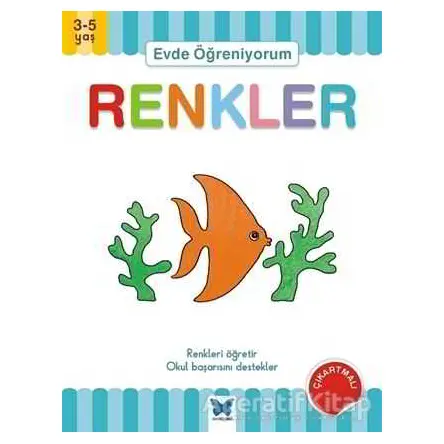 Evde Öğreniyorum - Renkler - Jenny Ackland - Mavi Kelebek Yayınları