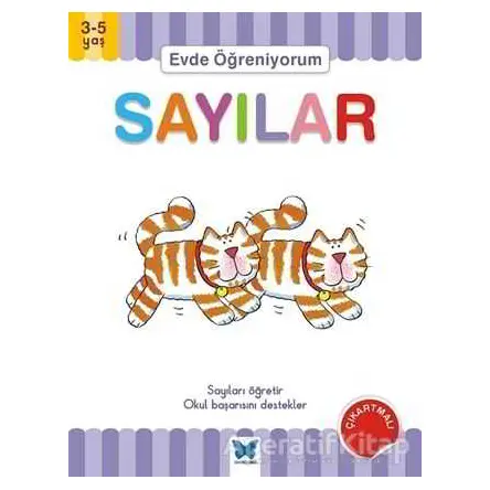 Evde Öğreniyorum - Sayılar - Jenny Ackland - Mavi Kelebek Yayınları