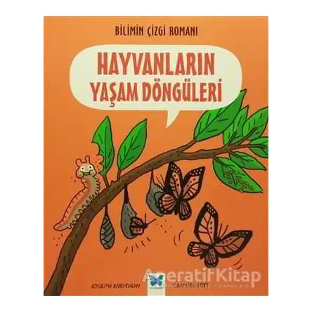 Bilimin Çizgi Romanı - Hayvanların Yaşam Döngüleri - Joseph Midthun - Mavi Kelebek Yayınları