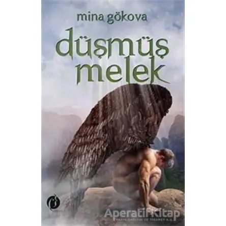 Düşmüş Melek - Mine Gökova - Herdem Kitap