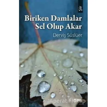 Biriken Damlalar Sel Olup Akar - Derviş Süslüer - Mat Kitap