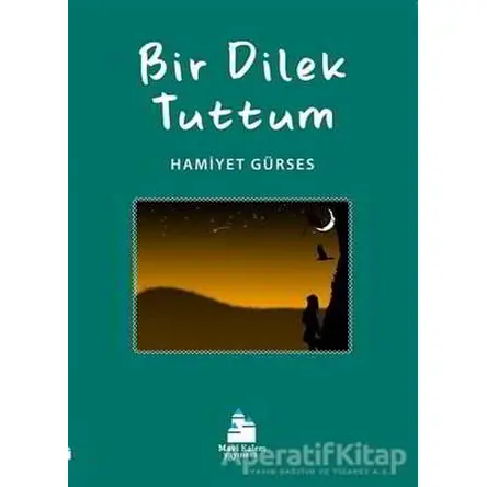 Bir Dilek Tuttum - Hamiyet Gürses - Mavi Kalem Yayınevi