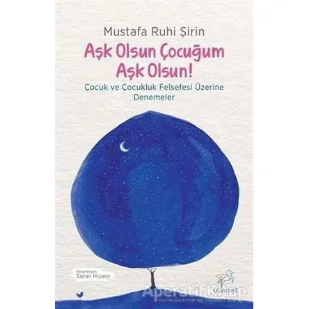 Aşk Olsun Çocuğum Aşk Olsun! - Mustafa Ruhi Şirin - Uçan At Yayınları