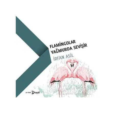 Flamingolar Yağmurda Sevişir - İrfan Asil - Hayal Yayınları