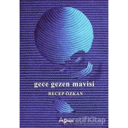 Gece Gezen Mavisi - Recep Özkan - Hayal Yayınları
