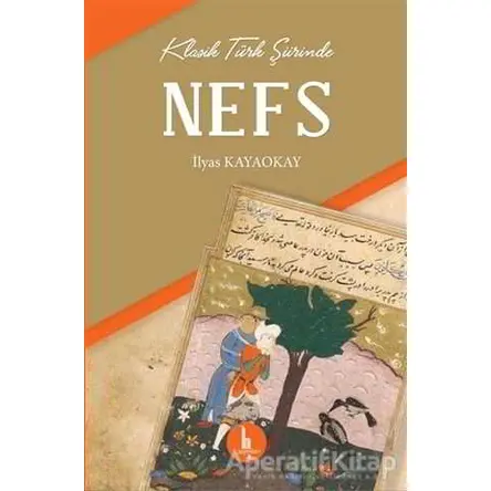 Klasik Türk Şiirinde Nefs - İlyas Kayaokay - H Yayınları