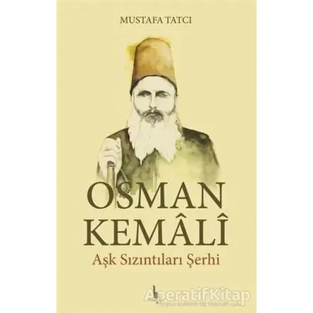 Osman Kemali Aşk Sızıntıları Şerhi - Mustafa Tatcı - H Yayınları