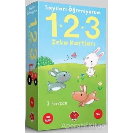 Sayıları Öğreniyorum 1 - 2 - 3 - Kolektif - Mikado Yayınları